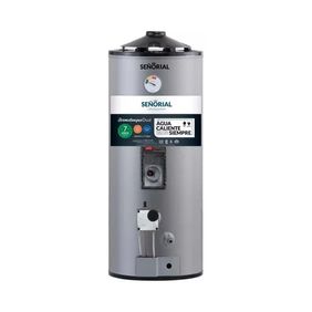 Termotanque Señorial family dual 50lts apoyarcolgar conexinf y sup gris 330076