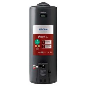 Termotanque Multigas Señorial Family Black Tsbg-110 Negro 110L