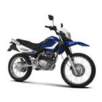 M0011200846-2024--1-