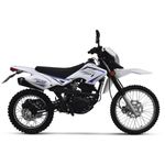 M0011200816-2024--2-
