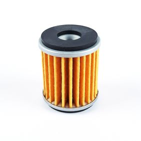 Filtro Aceite Wr250X Yz450 Ybr250