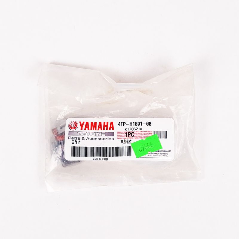 R0000069666_1
