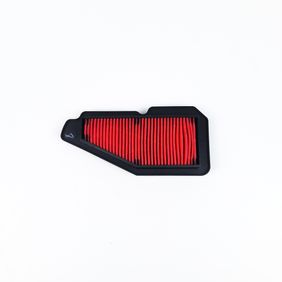 Filtro De Aire Ray125 Zr Scooters 2017