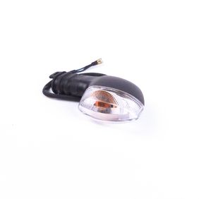 Luz de Giro Trasero Derecho Fz Fi