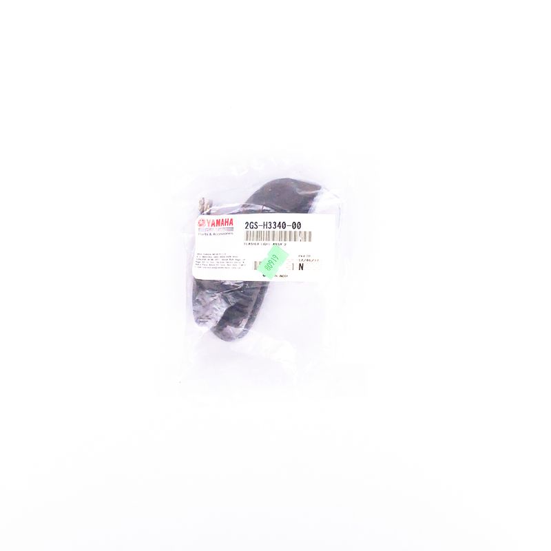 R0000080919_3