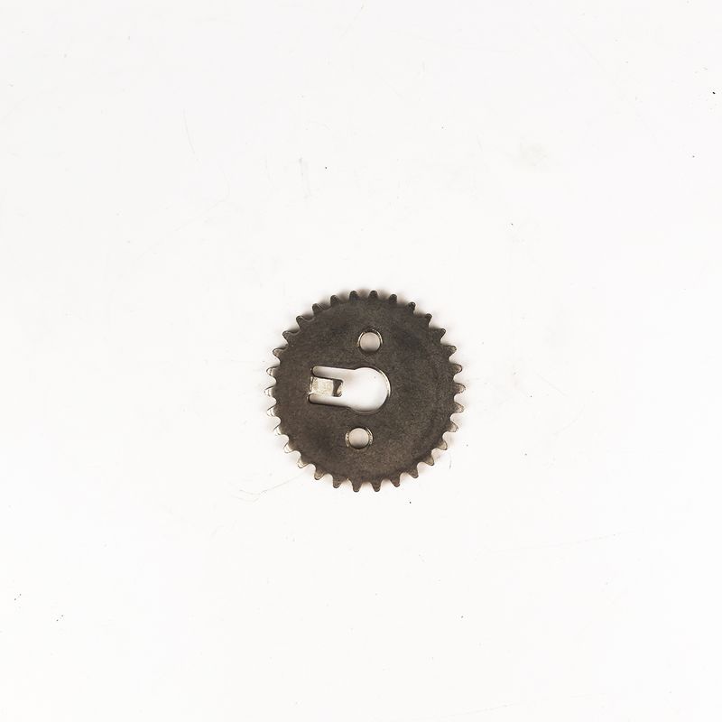 R0000060799_1