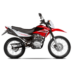 M0019800828-2025--3-