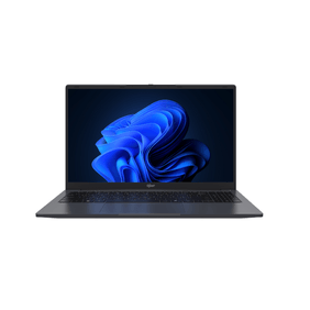Notebook gfast n-535-r gris 15.6" r5 8gb/480gb ssd win11