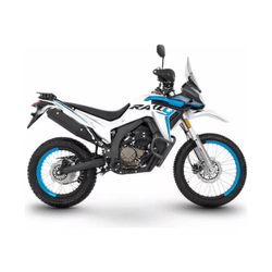 Moto 300 Ds Rally 2025