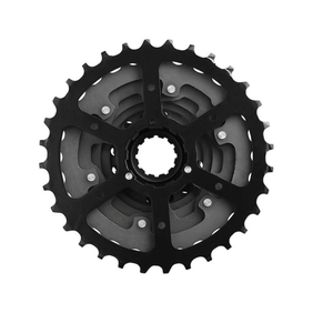 Piñon CsHg2008  8Vel