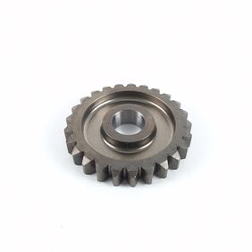 Piñon Libre Dt125