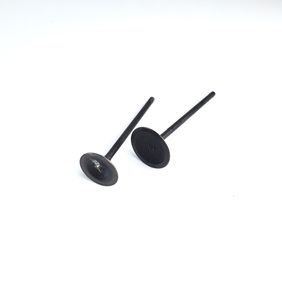 Kit De Valvulas Rouser 180