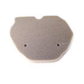 Filtro De Aire Benelli Tnt 300 / Tnt 302 S
