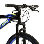 raleig--4-
