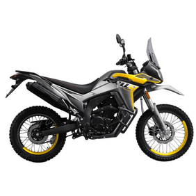Moto Voge 300 Rally - 2024