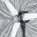 pantomima -2-.png