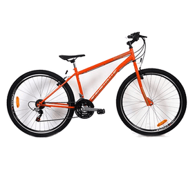 Bicicleta Enrique R29 Vertigo 21Vel