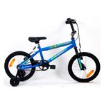 E0000012909-BICICLETA-ENRIQUE-R14-ARROW-017-destacada