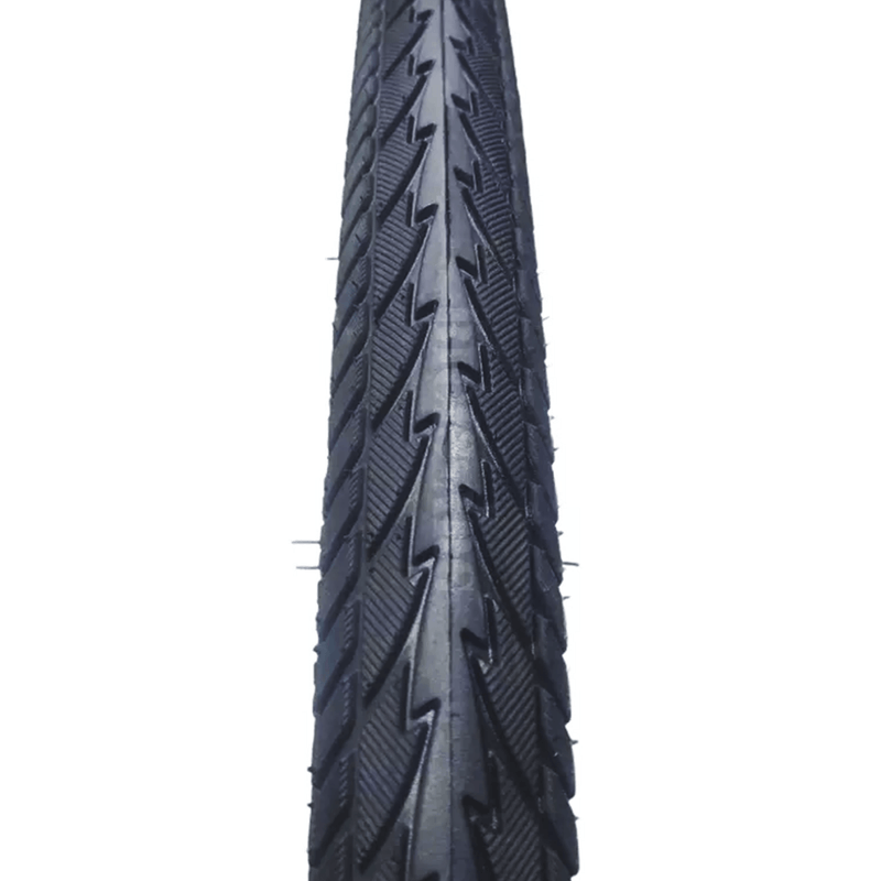 pasamelideani--2-.png
