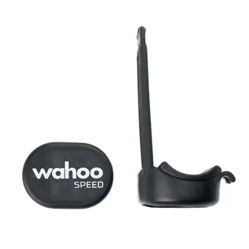 wahospidd -3-.png