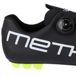 methaesa.png