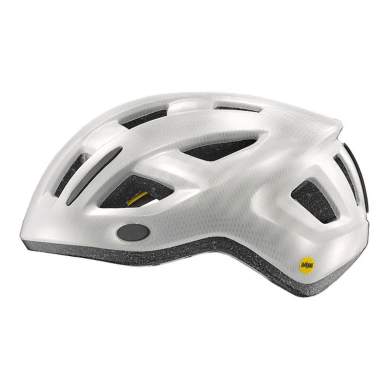 blancfasc--4-.png
