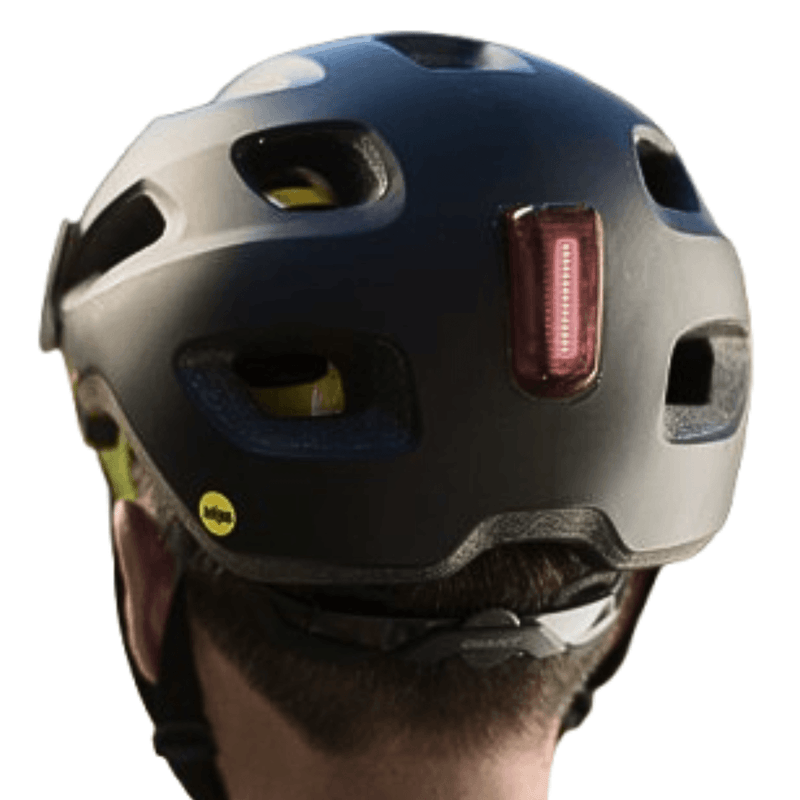 shimanocalid.png