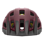 donatlcol--3-.png