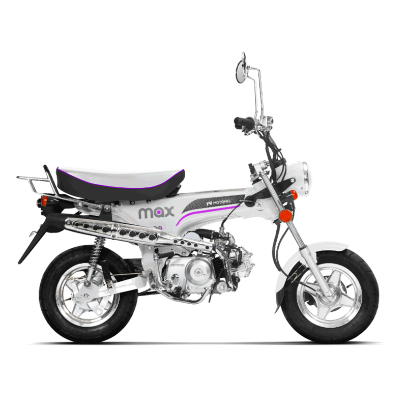 M0011200813-2025--2-.png
