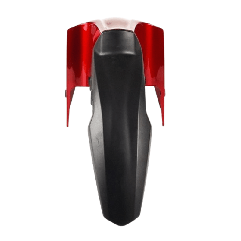 delfinrjo -2-.png