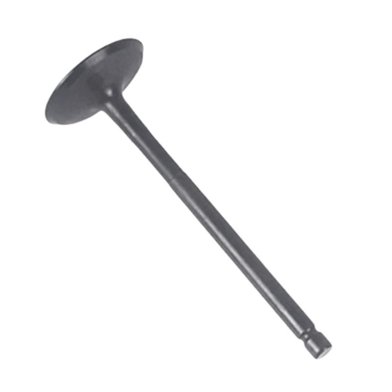 tapyam--5-.png