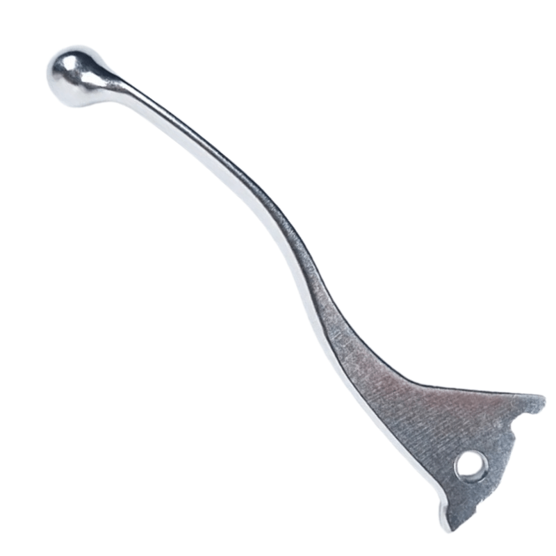 cartulinasxcdsdasdasdasd -2-.png