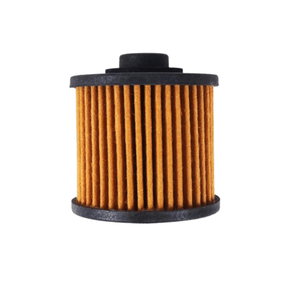 Filtro Aceite Yamaha Tdm900