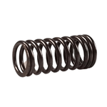 transgres -3-.png