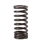 transgres -2-.png