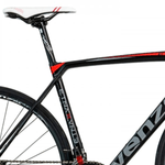 bicicletacarrer--3-.png