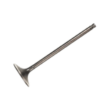 valvularedcd--2-.png