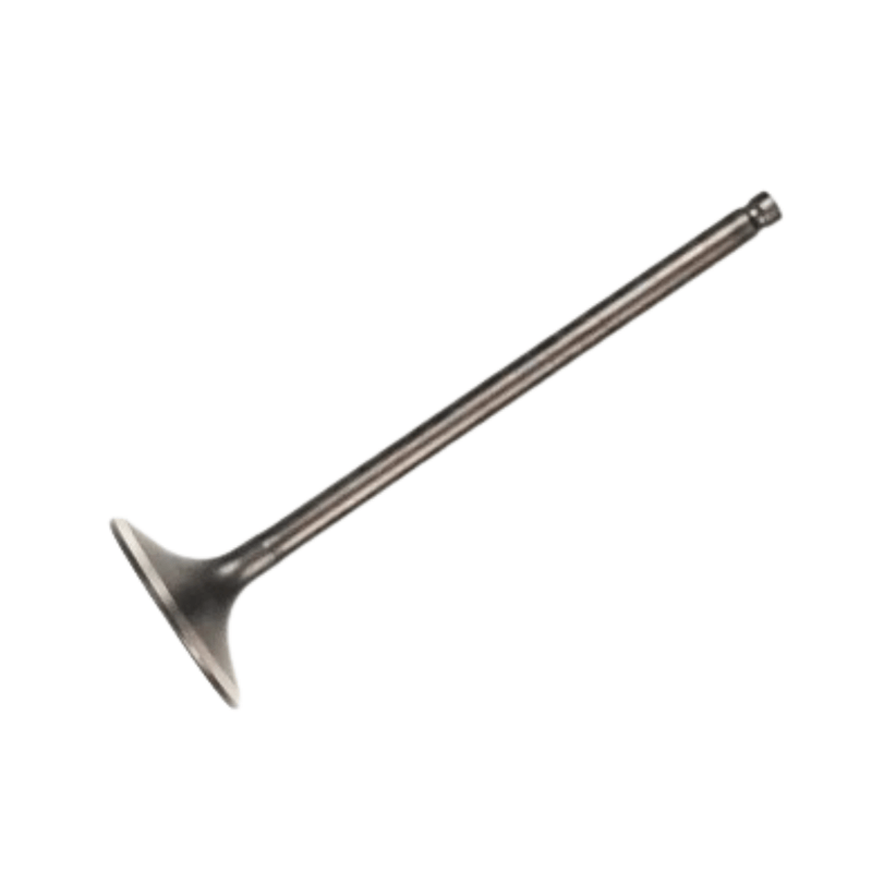 valvularedcd--2-.png