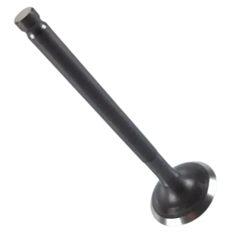 image -21-.webp