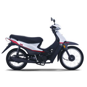 Moto zanella zb 110 z1 base - 2026
