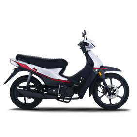 Moto zanella zb 110 z1 rt full (a/d) - 2026