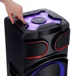 latorreaiwa--9-.webp