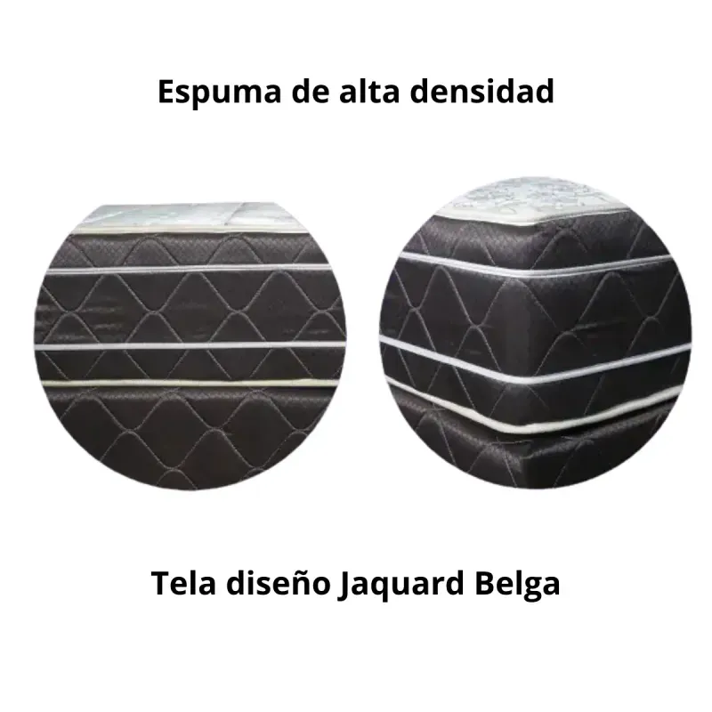 libertadores -1-.webp