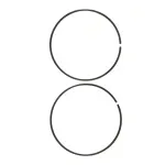 nicolich--2-.webp