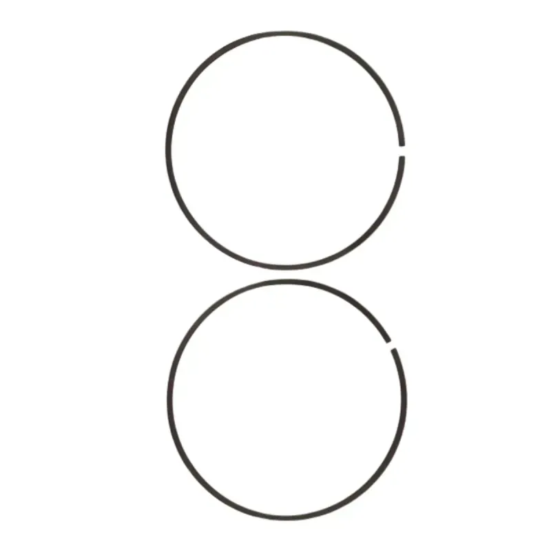 nicolich--2-.webp