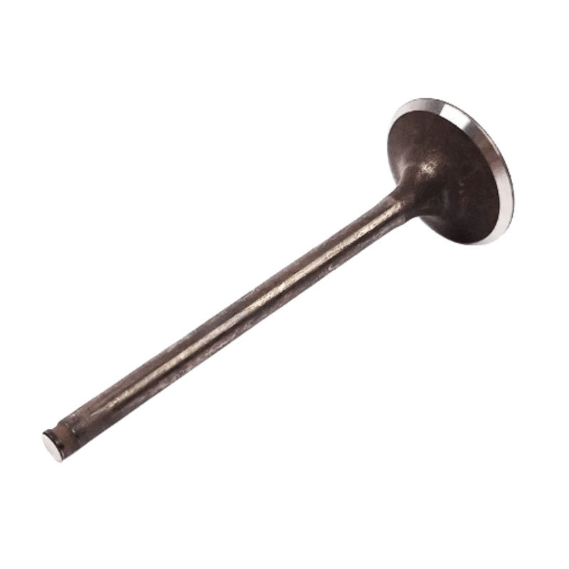 ludopata--2-.png