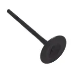 cortegas--2-.webp