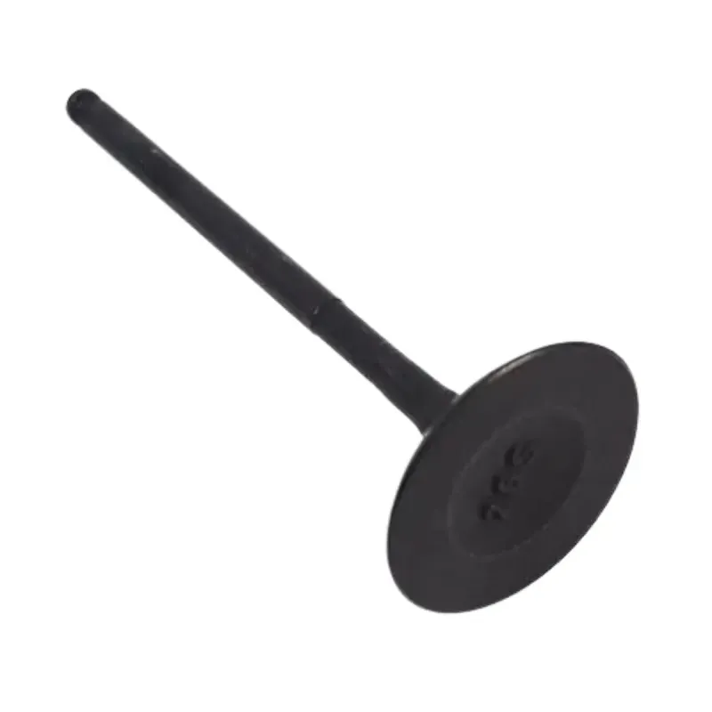 cortegas--2-.webp