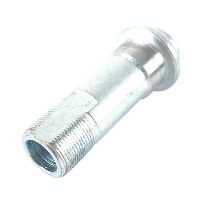 escierto--3-.webp