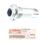 escierto--2-.webp